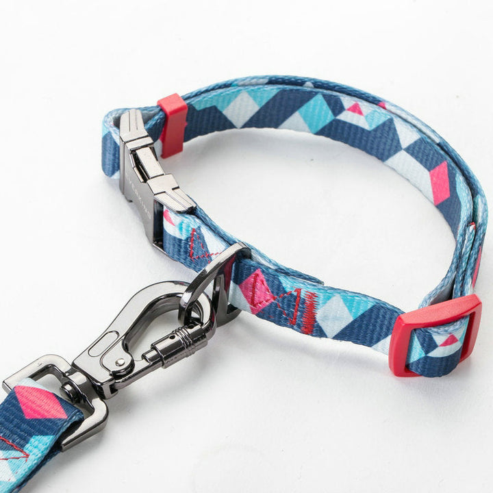 Adjustable Pet Walking Leash Accessories