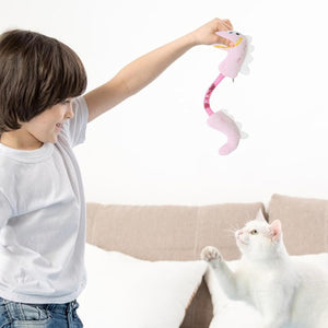 Interactive Pet Chew Rope Spring Toy: The Ultimate Playtime Companion for Your Feline Friend