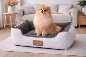 Comfortable Pet Beds Improve Pet Rest