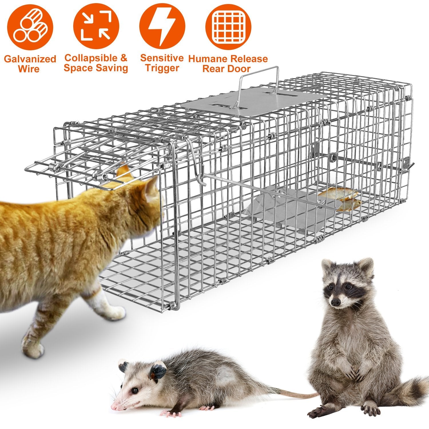 The Ultimate Solution for Safe Animal Trapping