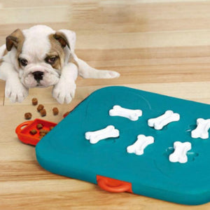 Pet Casino Treasure Hunt Puzzle Food Spill Toy: Engage Your Pet's Mind and Body