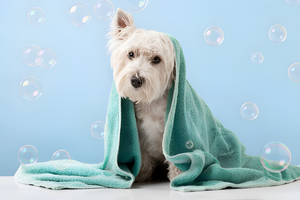 Use Pet Bath Supplies clean Your Pets